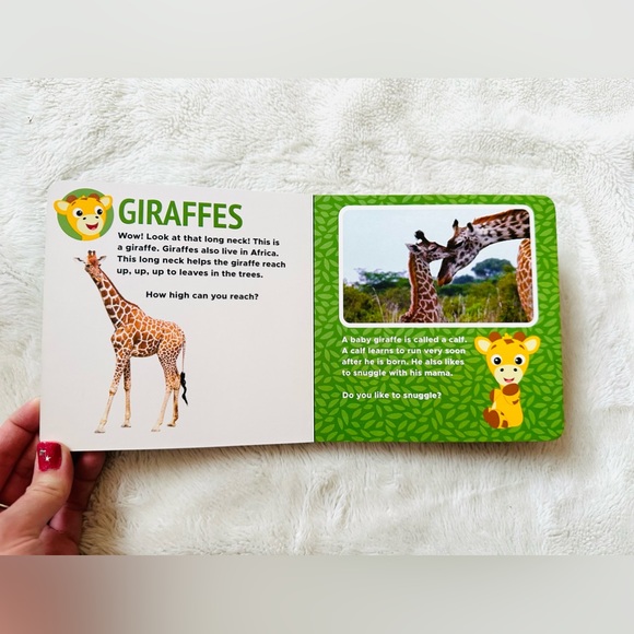 New Baby Einstein Book - Picture 5 of 7